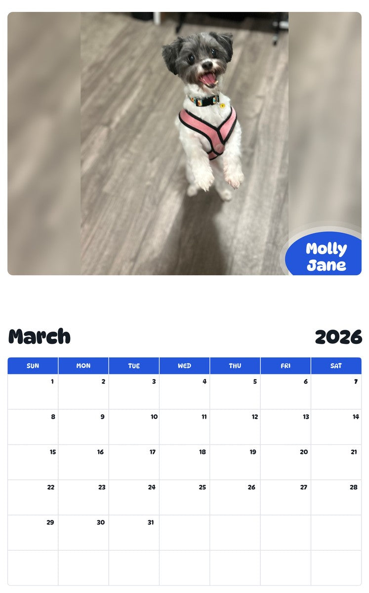 November 2025 - October 2026 Molly Jane - Pawidols Pet Calendar
