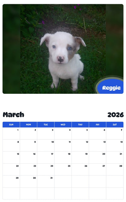 November 2025 - October 2026 Reggie - Pawidols Pet Calendar