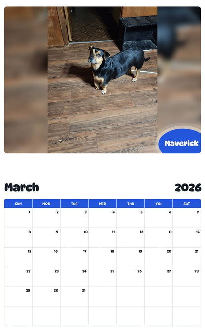 November 2025 - October 2026 Maverick - Pawidols Pet Calendar