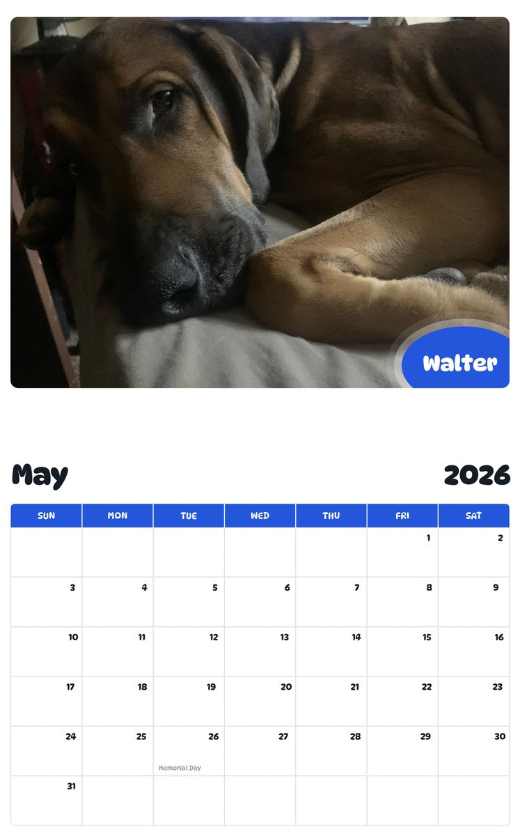 2026 - 2027 Walter - Pawidols Pet Calendar
