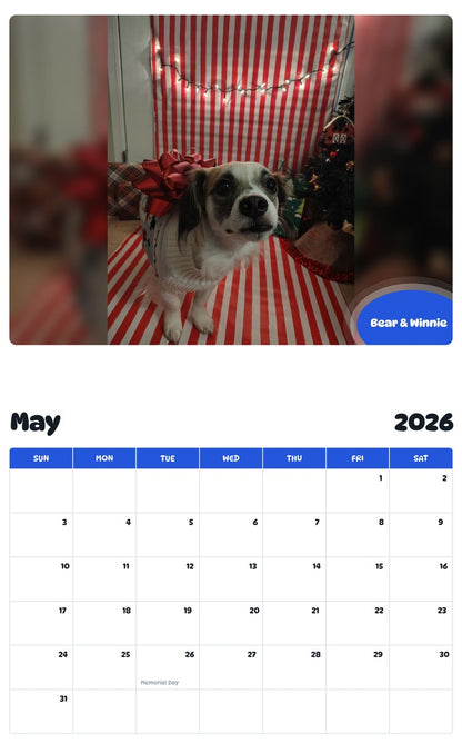 2026 - 2027 Bear & Winnie - Pawidols Pet Calendar
