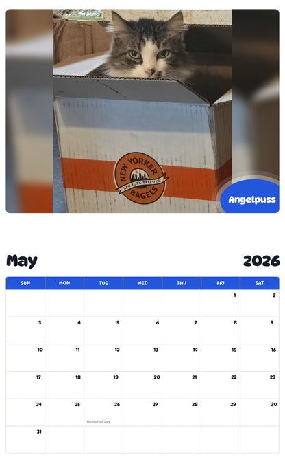 2026 - 2027 Angelpuss - Pawidols Pet Calendar