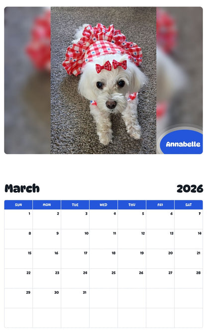 November 2025 - October 2026 Annabelle - Pawidols Pet Calendar