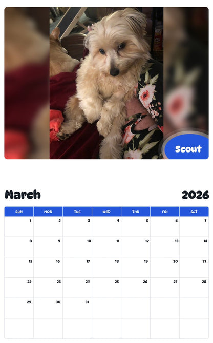 November 2025 - October 2026 Scout - Pawidols Pet Calendar