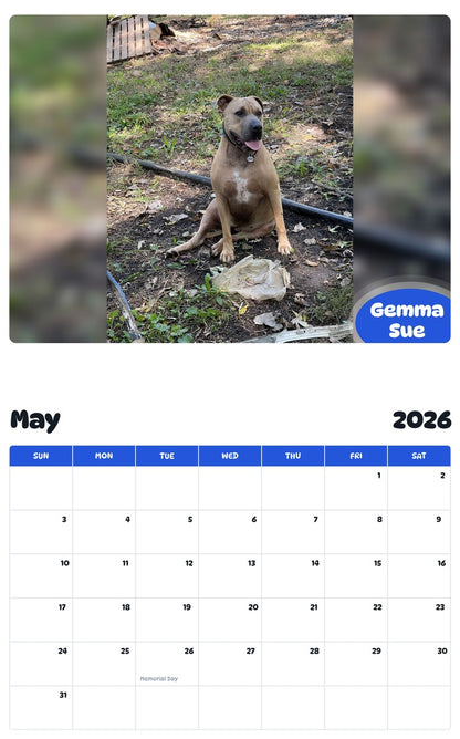 2026 - 2027 Gemma Sue - Pawidols Pet Calendar
