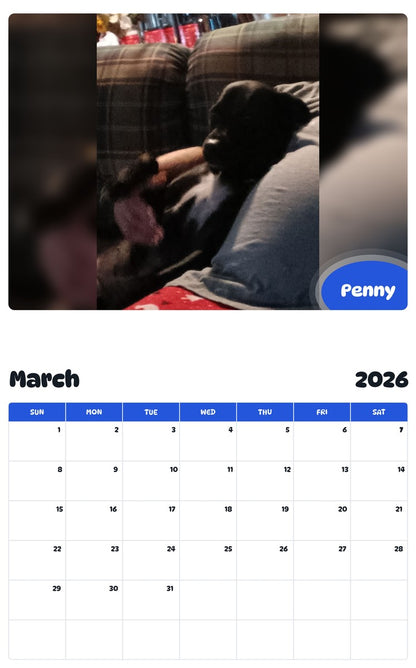 November 2025 - October 2026 Penny - Pawidols Pet Calendar