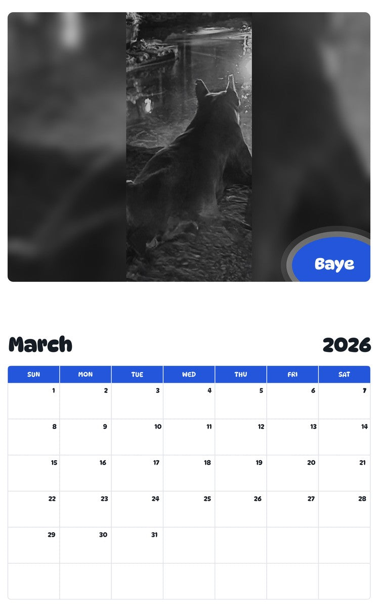 November 2025 - October 2026 Baye - Pawidols Pet Calendar