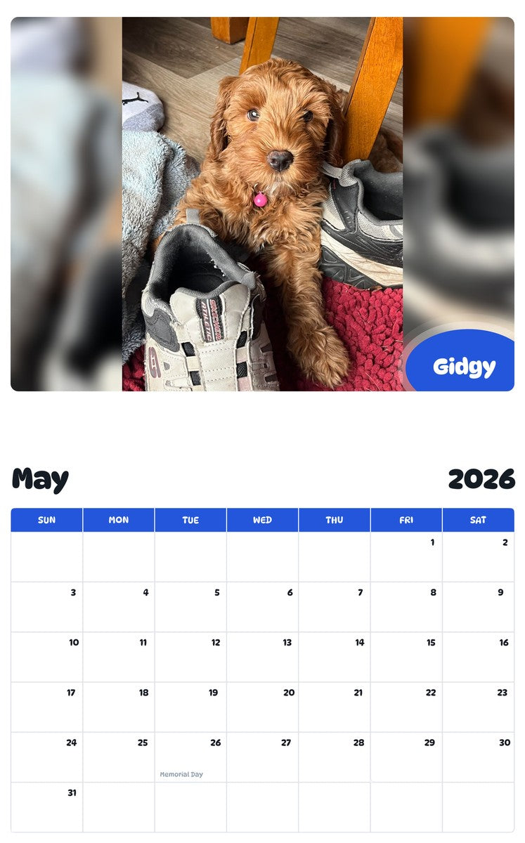2026 - 2027 Gidgy - Pawidols Pet Calendar