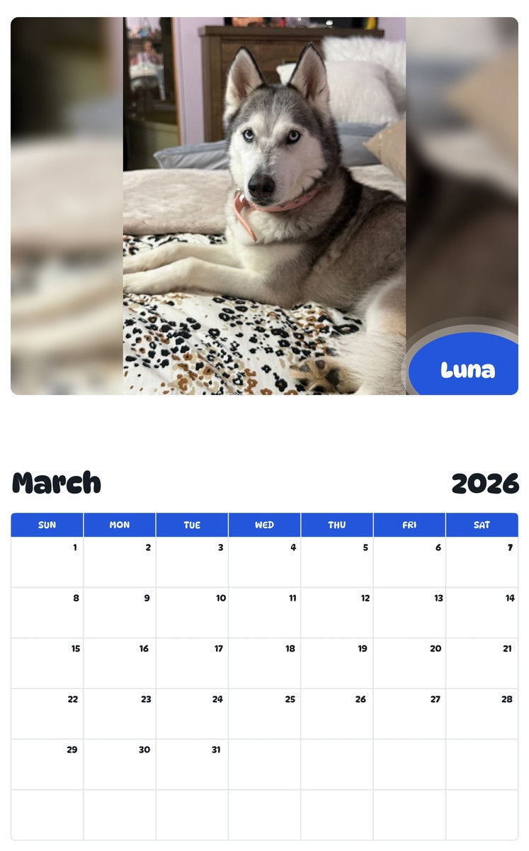 November 2025 - October 2026 Luna - Pawidols Pet Calendar