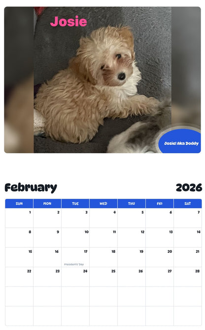 November 2025 - October 2026 Josie! Aka Doddy - Pawidols Pet Calendar