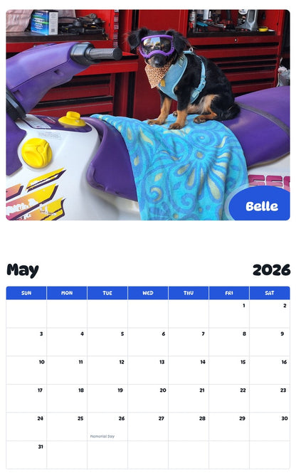 2026 - 2027 Belle - Pawidols Pet Calendar