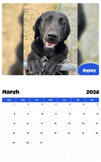 November 2025 - October 2026 Gypsy - Pawidols Pet Calendar