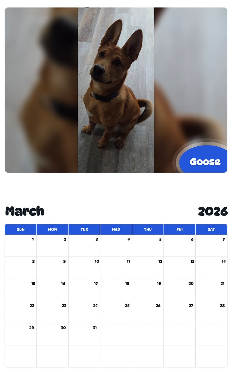 November 2025 - October 2026 Goose - Pawidols Pet Calendar