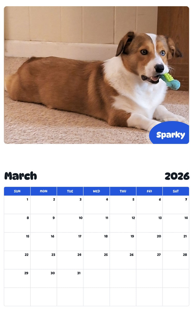November 2025 - October 2026 Sparky - Pawidols Pet Calendar