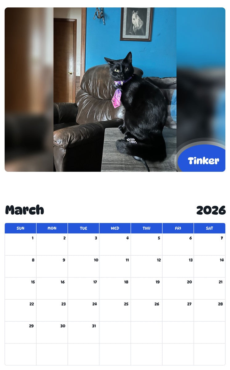 November 2025 - October 2026 Tinker - Pawidols Pet Calendar