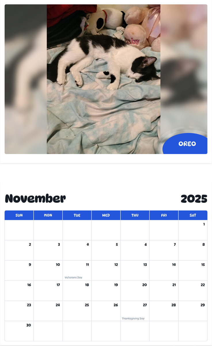 July 2025 - June 2026 Oreo - Pawidols Pet Calendar