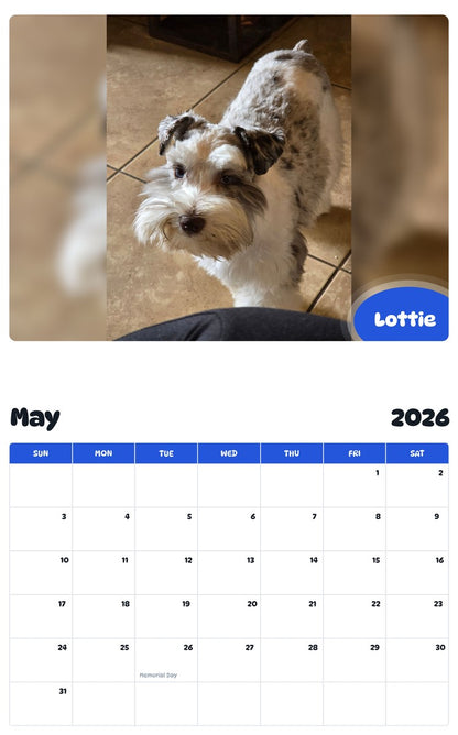 2026 - 2027 Lottie - Pawidols Pet Calendar