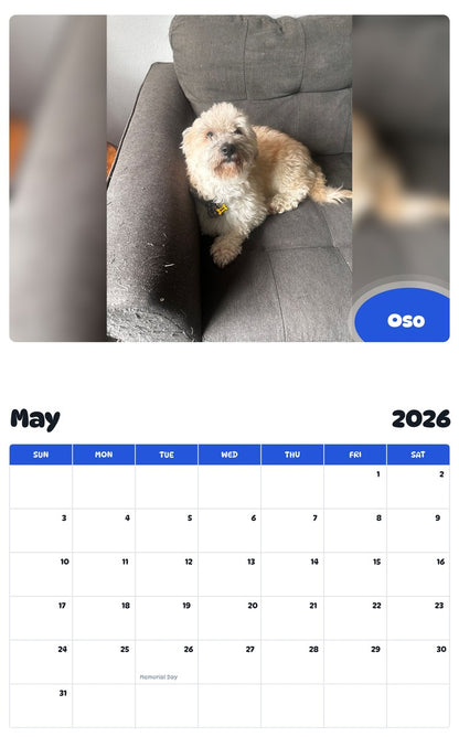 2026 - 2027 Oso - Pawidols Pet Calendar