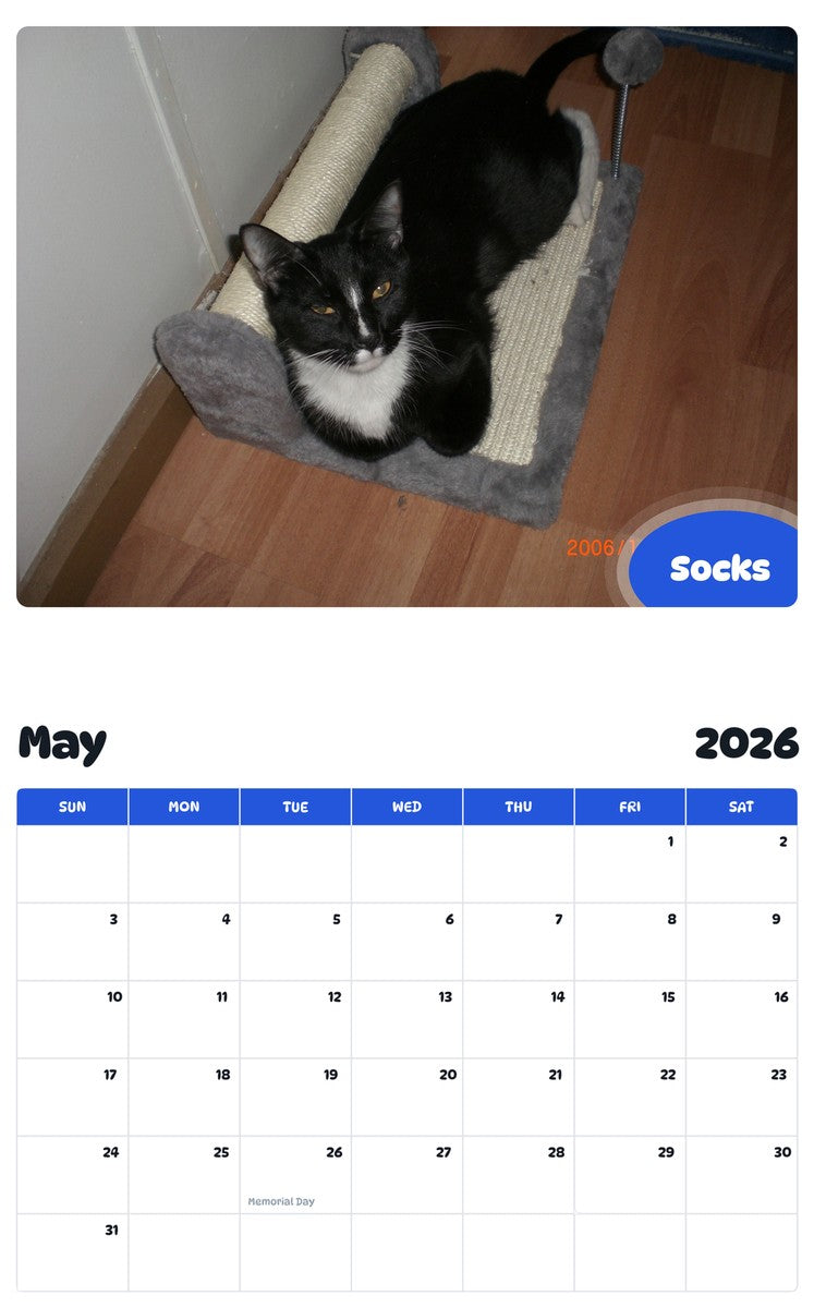 2026 - 2027 Socks - Pawidols Pet Calendar