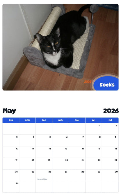 2026 - 2027 Socks - Pawidols Pet Calendar