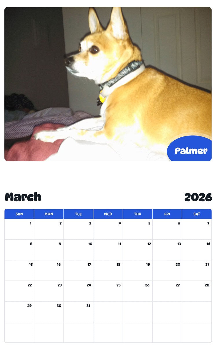 November 2025 - October 2026 Palmer - Pawidols Pet Calendar