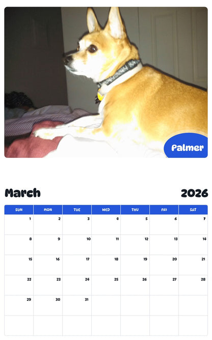 November 2025 - October 2026 Palmer - Pawidols Pet Calendar
