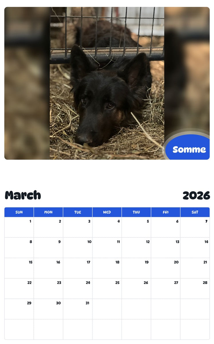 November 2025 - October 2026 Somme - Pawidols Pet Calendar