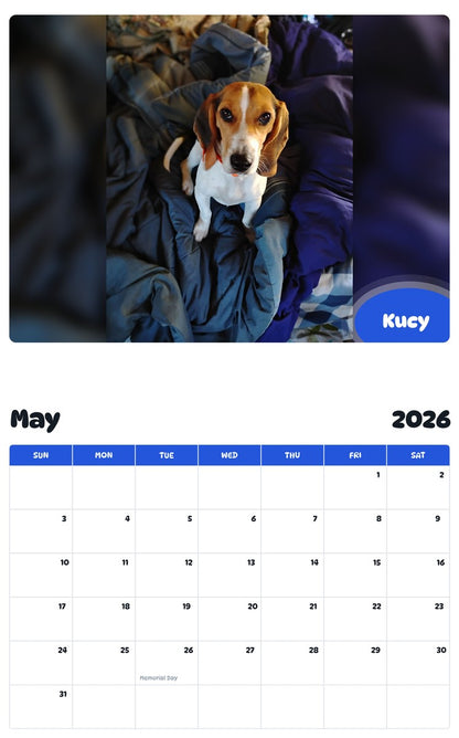 2026 - 2027 Kucy - Pawidols Pet Calendar