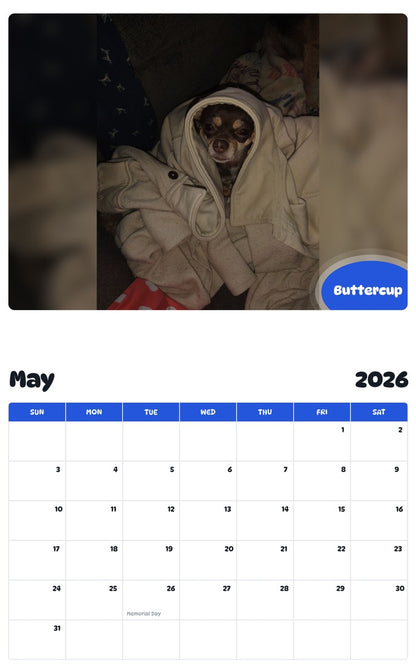 2026 - 2027 Buttercup - Pawidols Pet Calendar