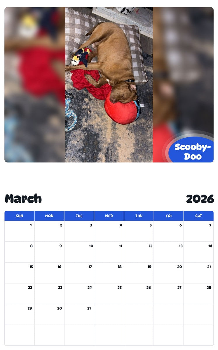 November 2025 - October 2026 Scooby-Doo - Pawidols Pet Calendar