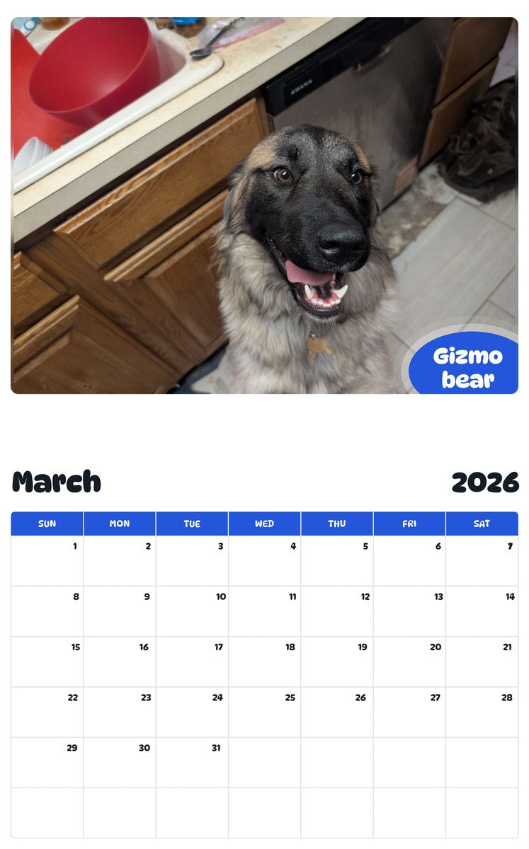 November 2025 - October 2026 Gizmo bear - Pawidols Pet Calendar