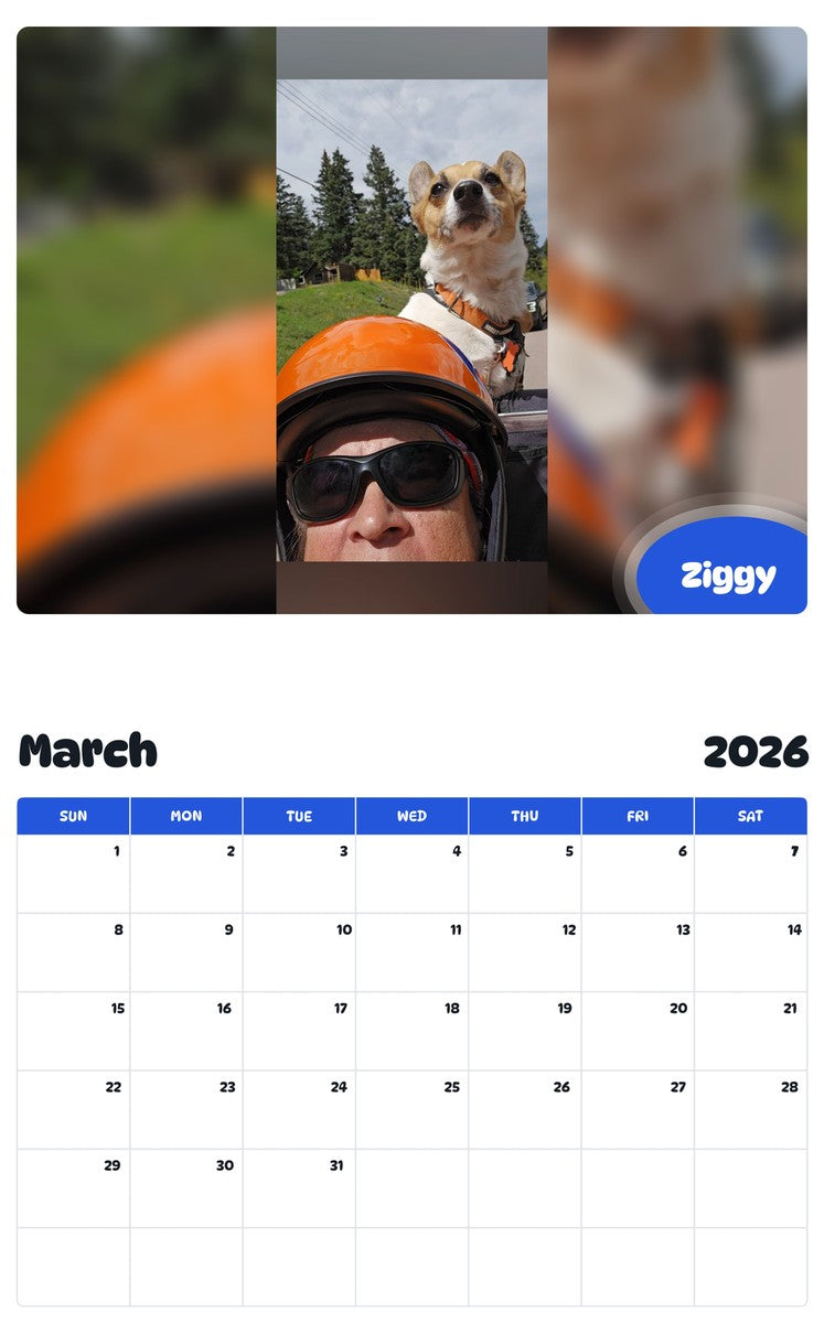 November 2025 - October 2026 Ziggy - Pawidols Pet Calendar