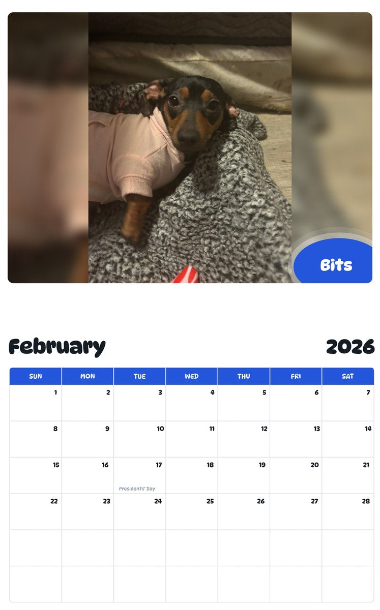 October 2025 - September 2026 Bits - Pawidols Pet Calendar