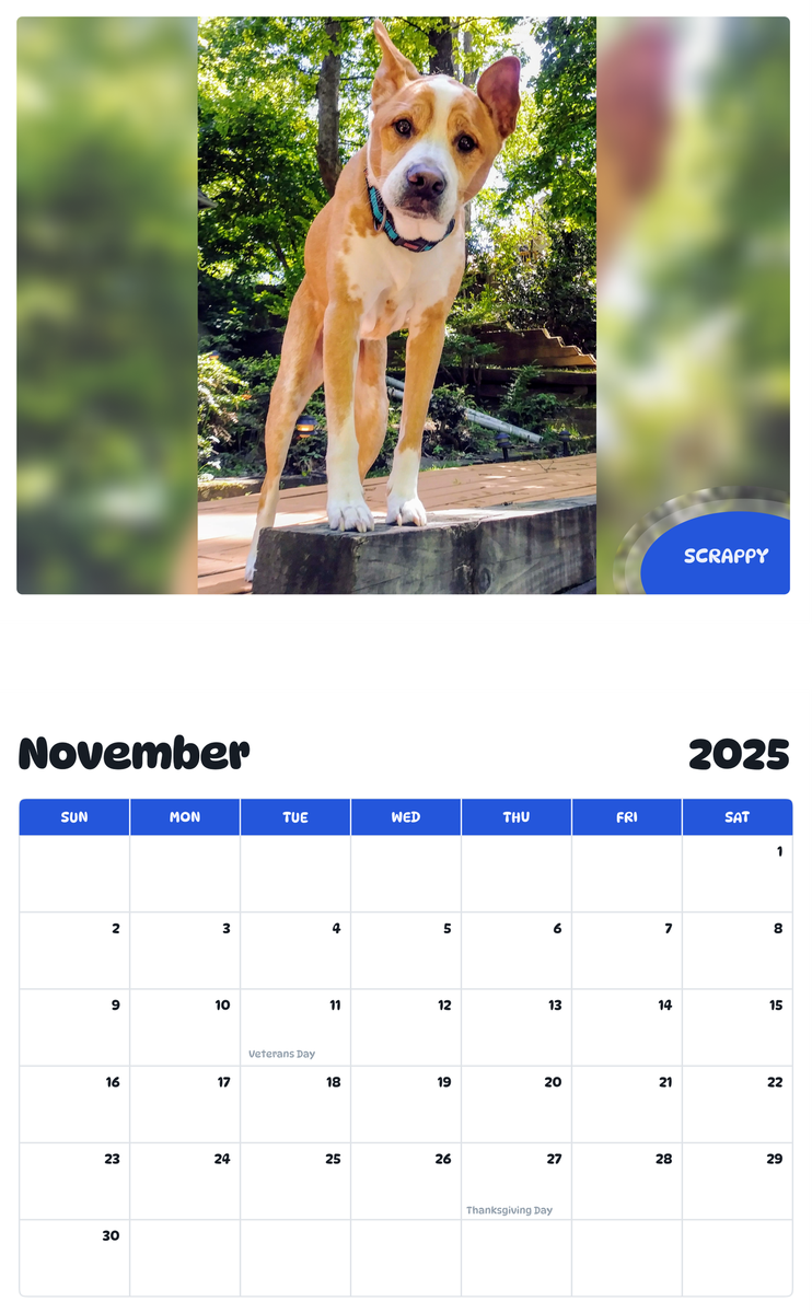 July 2025 - June 2026 Scrappy - Pawidols Pet Calendar