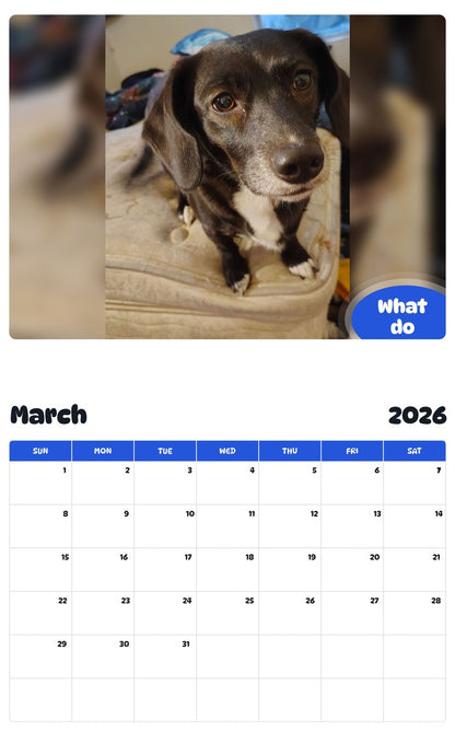 November 2025 - October 2026 What do - Pawidols Pet Calendar