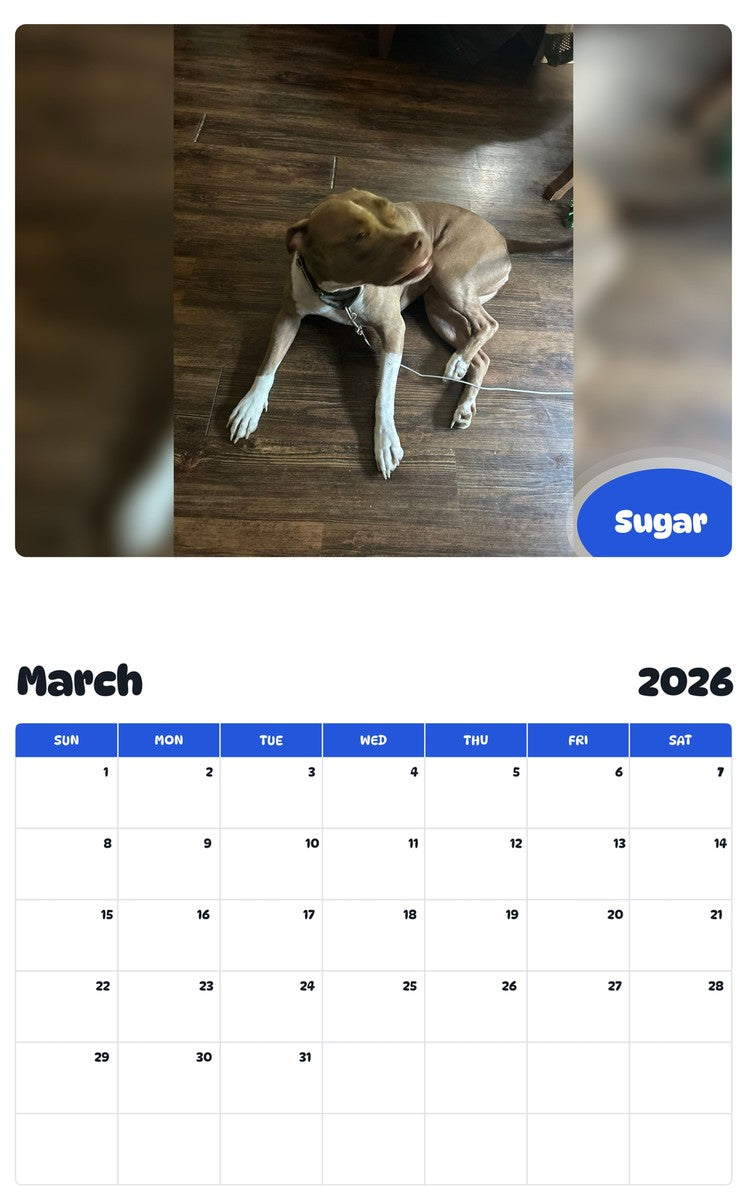 November 2025 - October 2026 Sugar - Pawidols Pet Calendar
