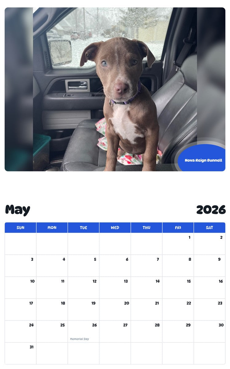 2026 - 2027 Nova Reign Bunnell - Pawidols Pet Calendar