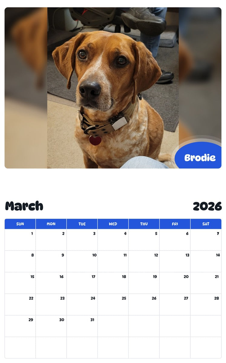 November 2025 - October 2026 Brodie - Pawidols Pet Calendar