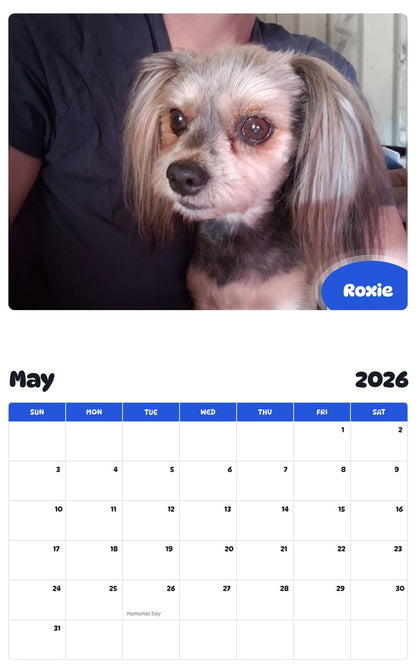 2026 - 2027 Roxie - Pawidols Pet Calendar