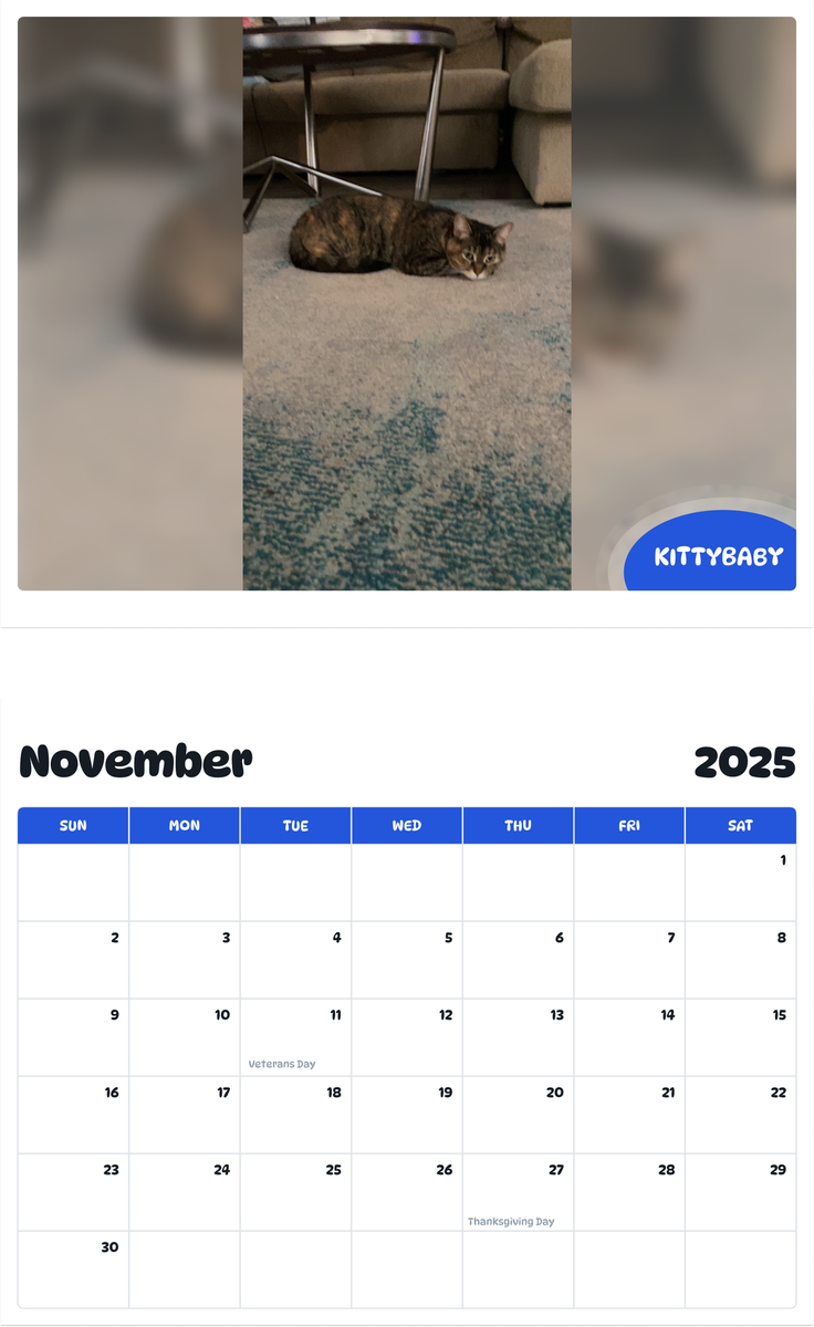 July 2025 - June 2026 Kittybaby - Pawidols Pet Calendar