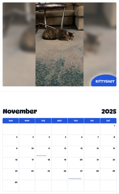 July 2025 - June 2026 Kittybaby - Pawidols Pet Calendar