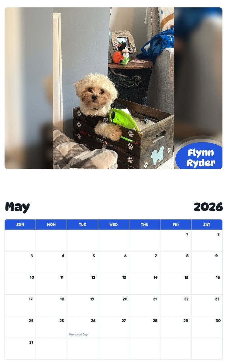 2026 - 2027 Flynn Ryder - Pawidols Pet Calendar