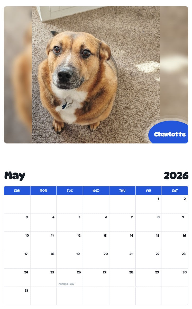 2026 - 2027 Charlotte - Pawidols Pet Calendar