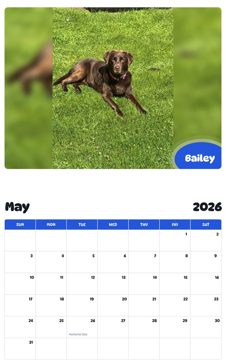 2026 - 2027 Bailey - Pawidols Pet Calendar