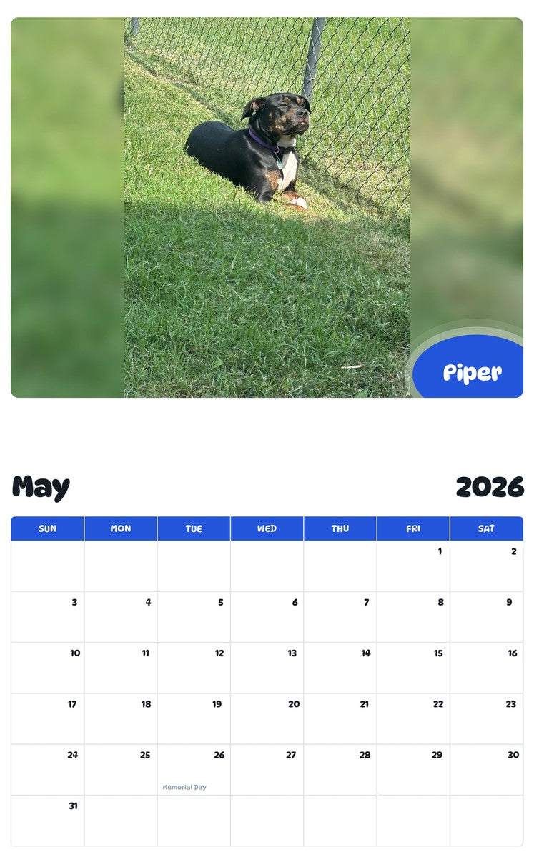 2026 - 2027 Piper - Pawidols Pet Calendar