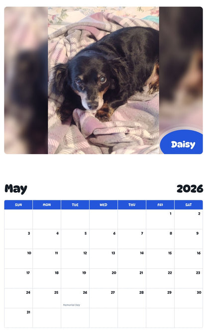 2026 - 2027 Daisy - Pawidols Pet Calendar