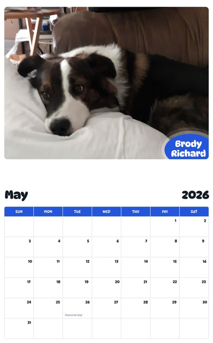 2026 - 2027 Brody Richard - Pawidols Pet Calendar
