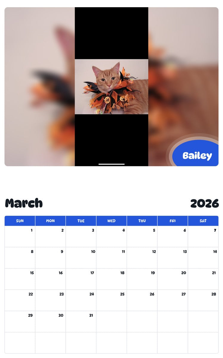 November 2025 - October 2026 Bailey - Pawidols Pet Calendar