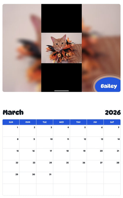 November 2025 - October 2026 Bailey - Pawidols Pet Calendar