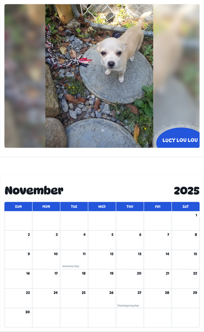 July 2025 - June 2026 Lucy lou lou - Pawidols Pet Calendar